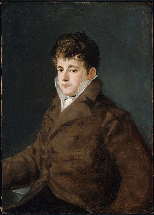 Portrait of a Young Man in Brown, possibly Javier Goya, , Francisco de Goya