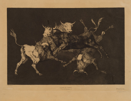 Bulls, , Francisco de Goya
