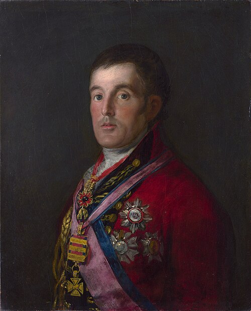 Portrait du duc de Wellington, 1812, Francisco de Goya