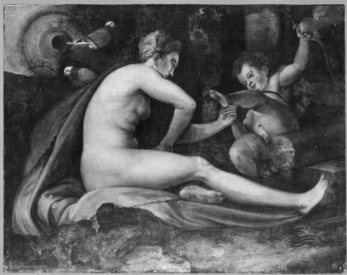 Vénus et l'amour, 1542, Frans Floris I