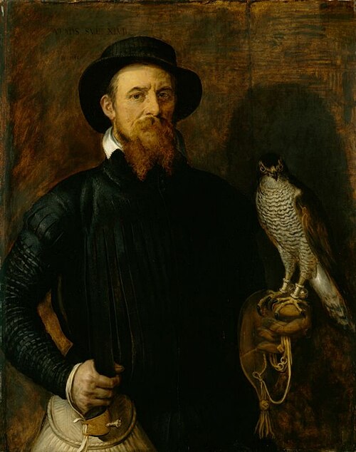 Portrait of a man with a falcon, 1558, Frans Floris I