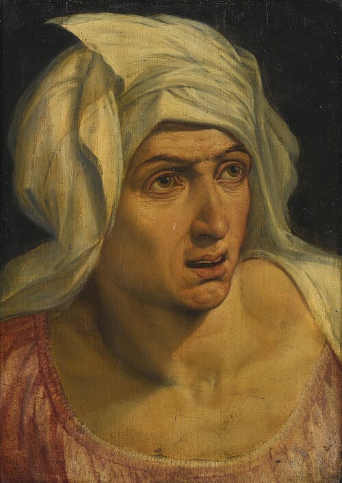 Head of a Woman., 1550, Frans Floris I