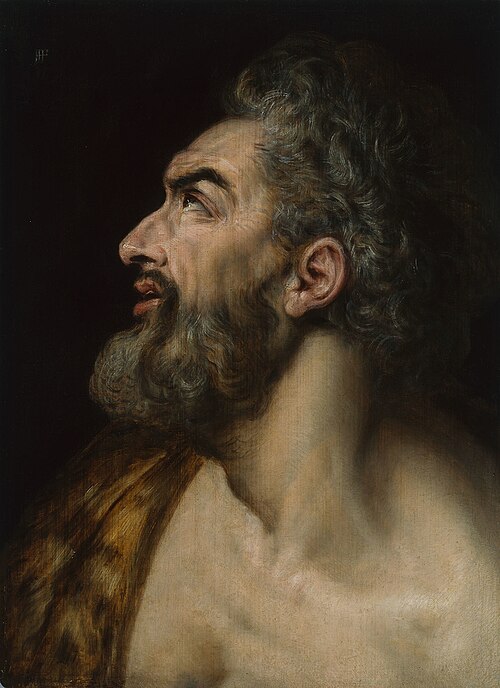 Study Head of a Bearded Man, 1565, Frans Floris I
