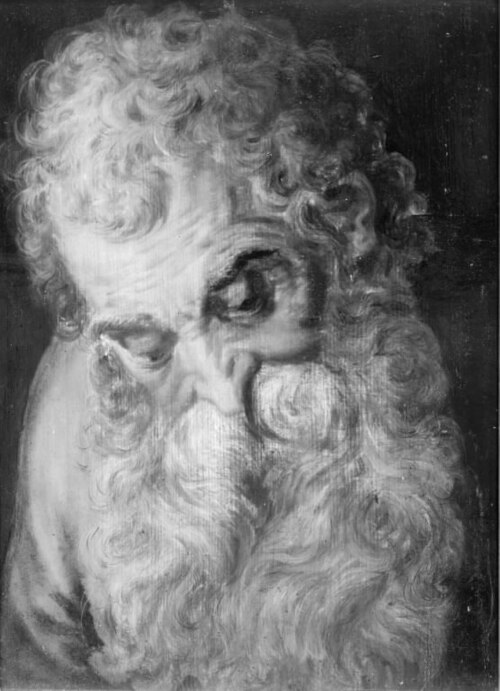An Old Man's Head, 1550, Frans Floris I