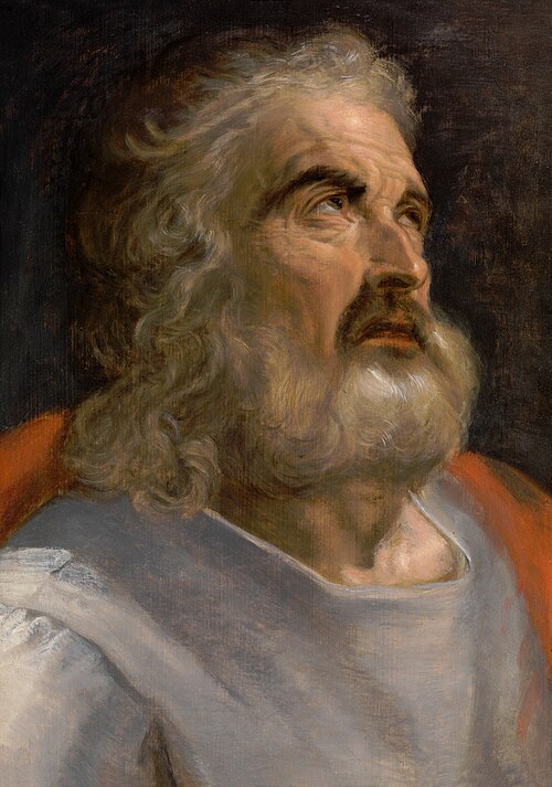 Man with a Beard, 1550, Frans Floris I