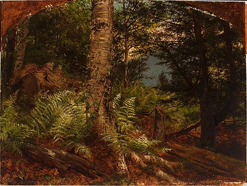 Study of Ferns, 1864, Fidelia Bridges