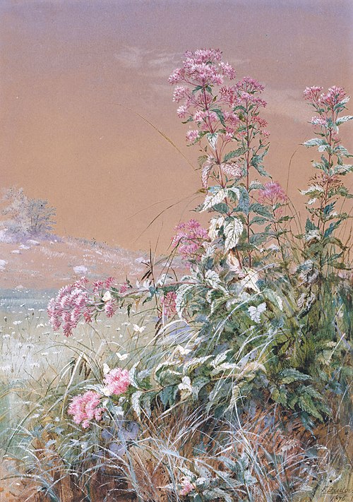 Untitled, 1876, Fidelia Bridges