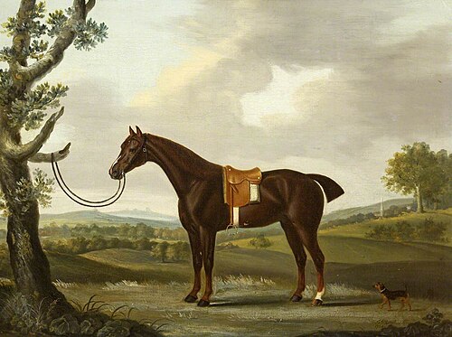 A Hunter with a Dog by a Tree, 1789, Francis Sartorius