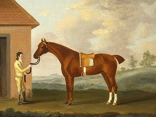 A Bay Hunter and a Groom, 1789, Francis Sartorius