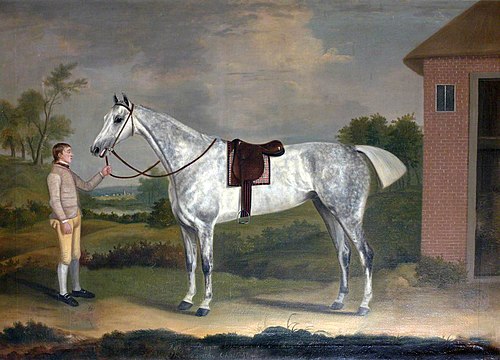 'Fury', a Dappled Grey, with his Groom, 1784, Francis Sartorius
