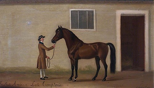 The Shute Arabian, 1782, Francis Sartorius