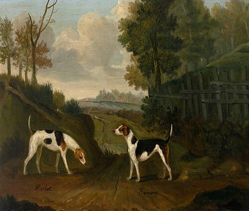 'Harlot' and 'Harmony', a pair of hounds, 1790, Francis Sartorius