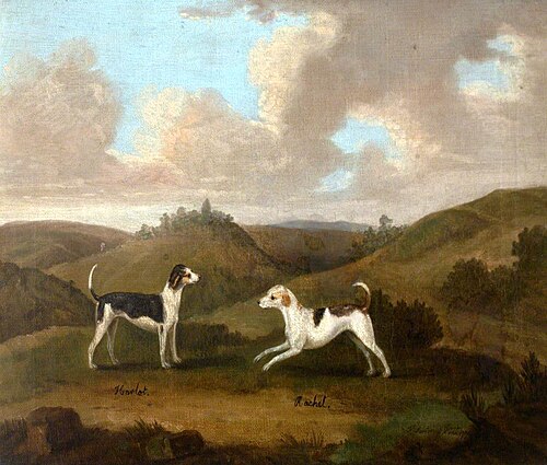 'Harlot' and 'Rachel', a pair of hounds, 1790, Francis Sartorius