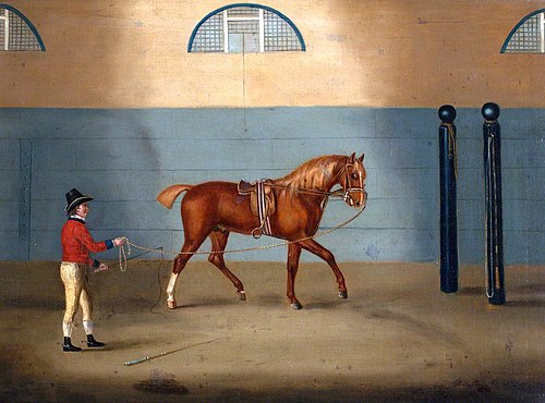 A Chestnut Horse on a Lunge, 1791, Francis Sartorius