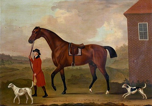 'Little Hero', a Hunter, 1786, Francis Sartorius