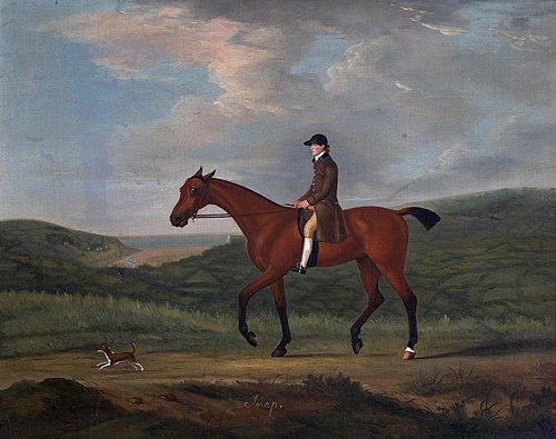 'Snap', a Bay Horse and a Little Dog, 1782, Francis Sartorius