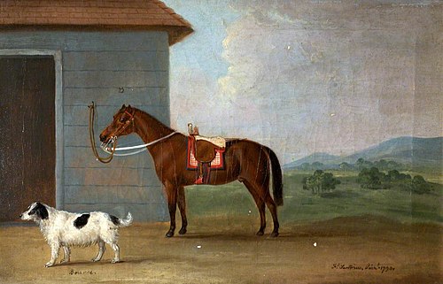 'Bounce', a Spaniel, with a Bay Horse, 1790, Francis Sartorius