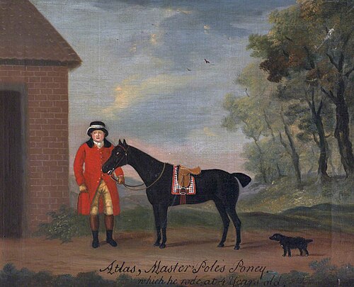 'Atlas', Master Pole's Pony, 1785, Francis Sartorius