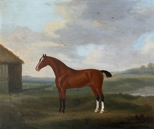 'Sampson', a Bay Horse, with two white socks, 1783, Francis Sartorius