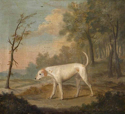 'Billy', a White Hound, 1786, Francis Sartorius