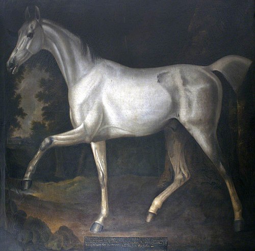 'Grey Bisten', 1795, Francis Sartorius