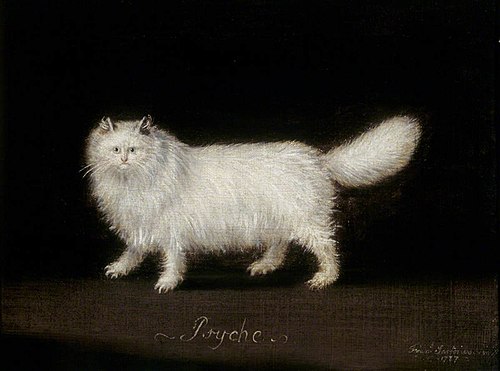 'Psyche', a White Persian Cat, 1787, Francis Sartorius