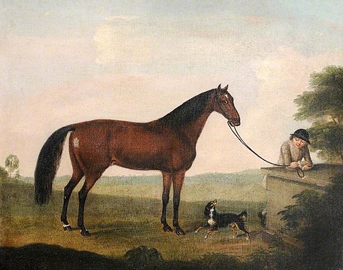 A Brown Horse, Spaniel and Groom, 1767, Francis Sartorius