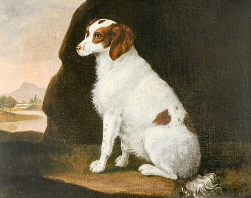 A White and Brown Spaniel, , Francis Sartorius
