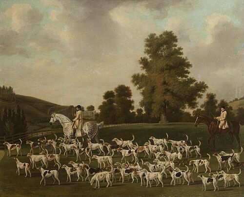 Peter Beckford's Hounds, 1785, Francis Sartorius
