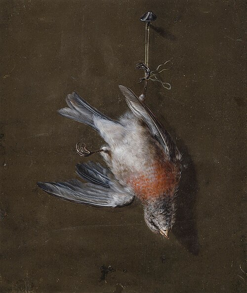 Hämpling, , Wilhelm von Wright