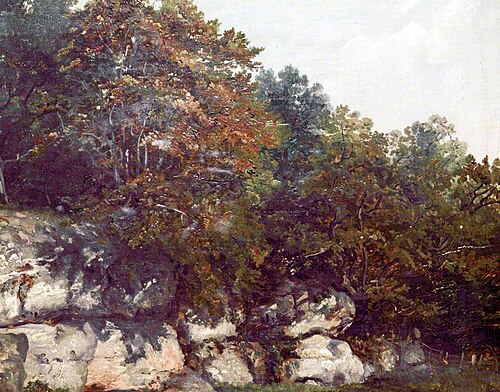 Rocks and Trees, , Frederick Richard Lee