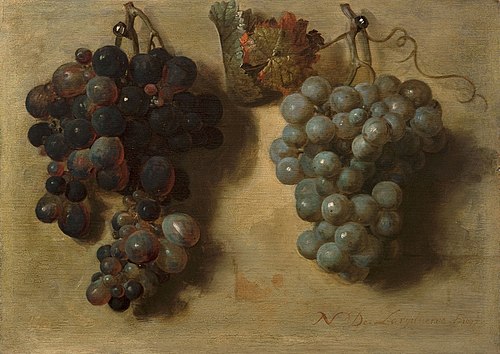 Two bunches of grapes, 1677, Nicolas de Largillière