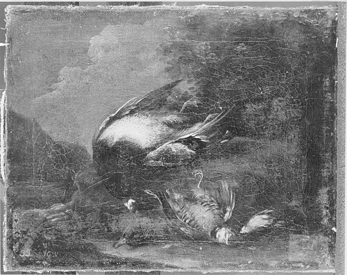 Totes Geflügel, 1713, Johann Georg Waxschlunger