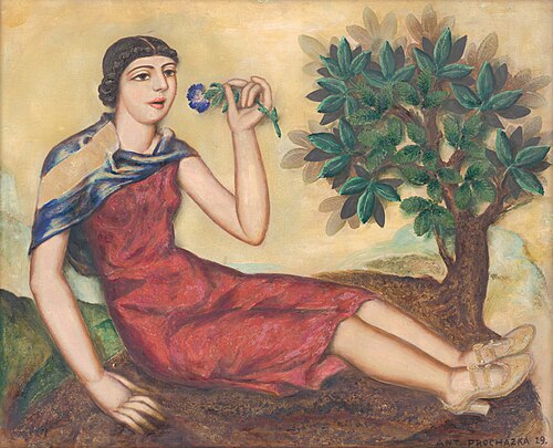 In Spring, 1929, Antonín Procházka