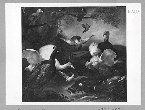 Living poultry, 1640, Daniel Schultz