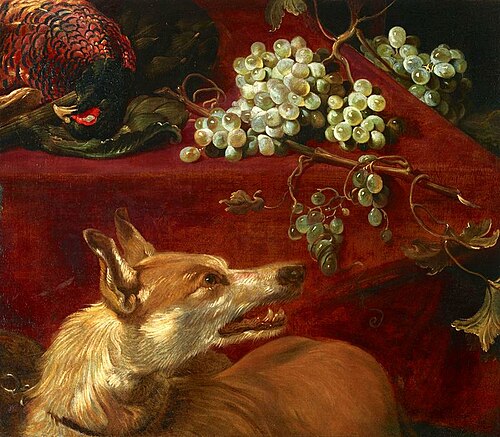 Le renard et les raisins., 1648, Daniel Schultz