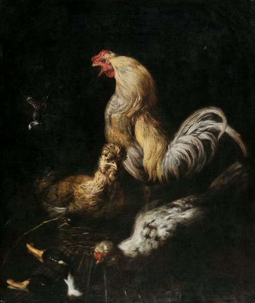 Un coq, deux poulets et deux canards., 1660, Daniel Schultz