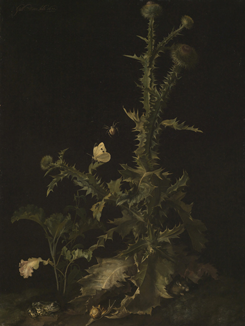 Still life with thistle, mouse, frog, snail and insects, 1671, Willem van Aelst