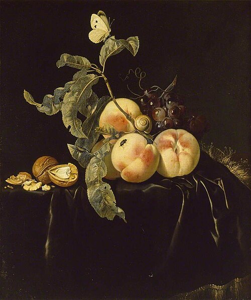 Still Life of Fruit, 1667, Willem van Aelst
