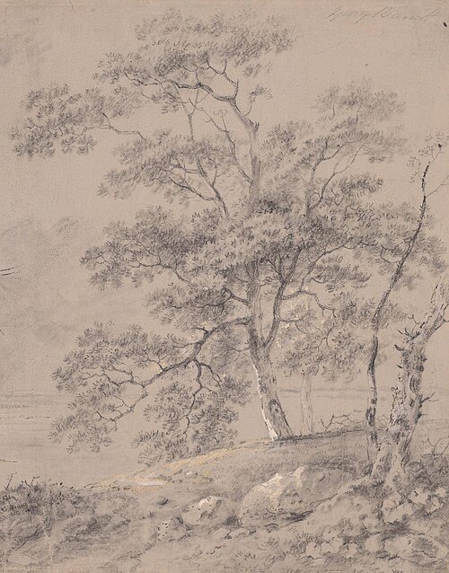Tree Study, , George Barret, Sr.