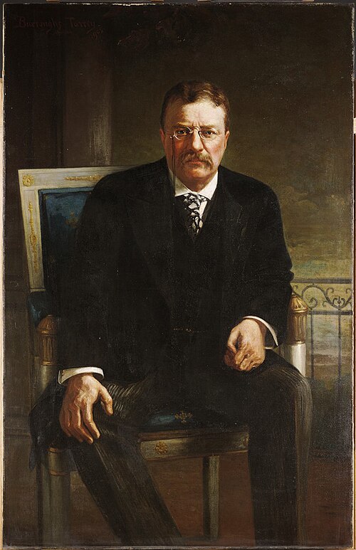 Theodore Roosevelt (1858-1919), 1905, George Burroughs Torrey