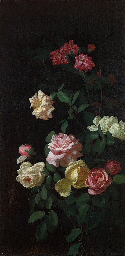 Rose, 1872, George Cochran Lambdin
