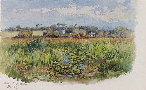 Criccieth, N Wales, 1899, George Elbert Burr