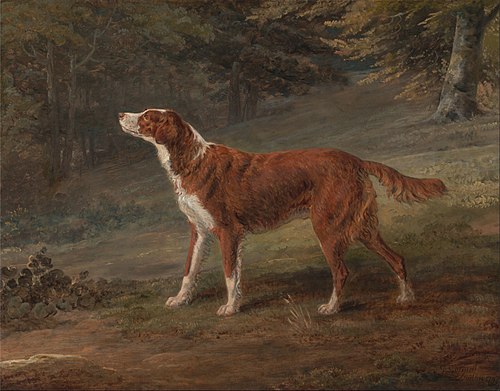 Ranger, a setter, the property of Elizabeth Gray, 1797, George Garrard