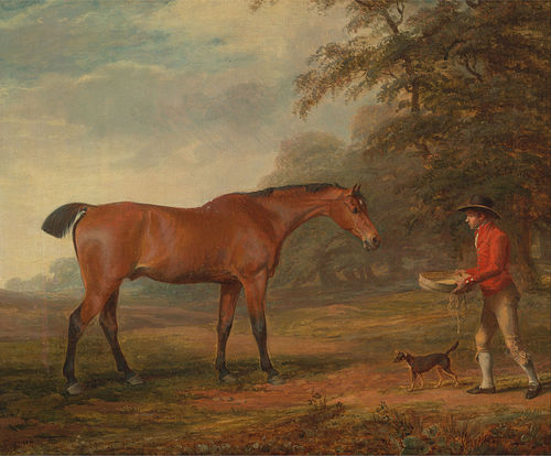A Bay Horse Approached by a Stable-Lad with Food and a Halter, 1789, George Garrard
