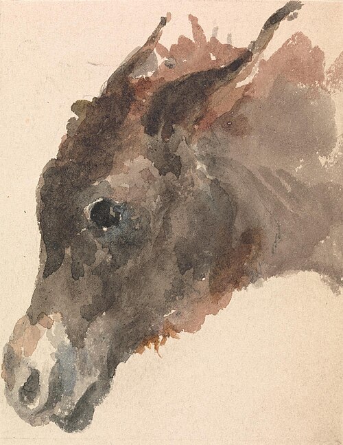 Head of a Donkey, , George Jones