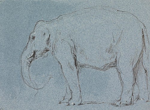 An Elephant, 1856, George Jones