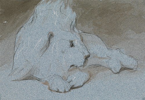 A Male Lion, Lying Down and Half Facing Right, 1856, George Jones