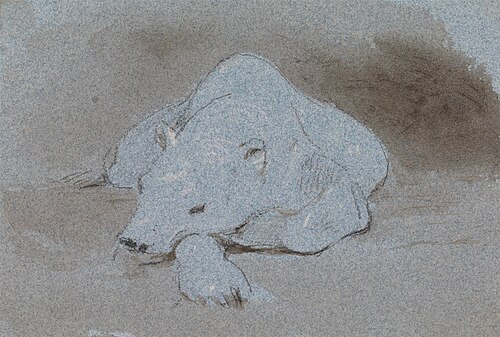 A Polar Bear, Asleep, Front View, 1856, George Jones