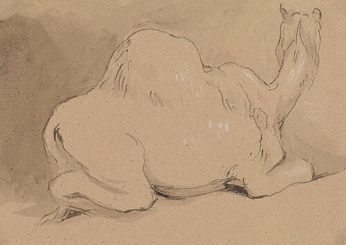 A Camel Resting, , George Jones